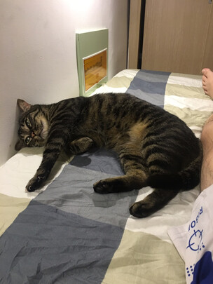 宠物饮水机