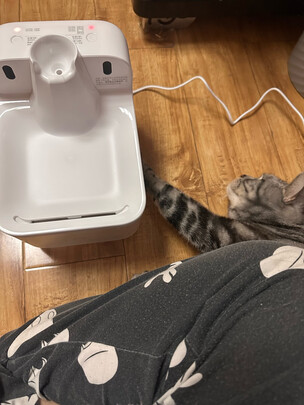 宠物饮水机