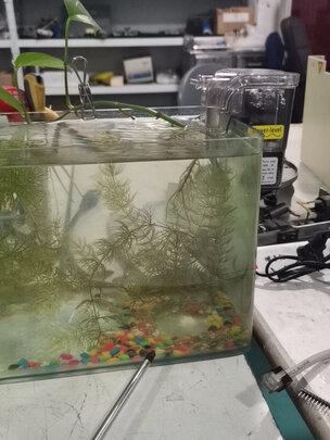 鱼缸过滤器