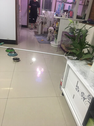 猫窝