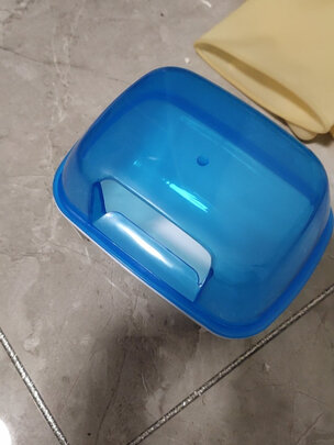 仓鼠浴沙