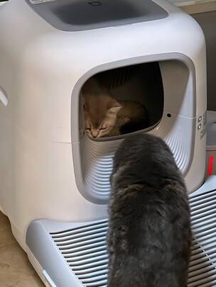 猫砂盆