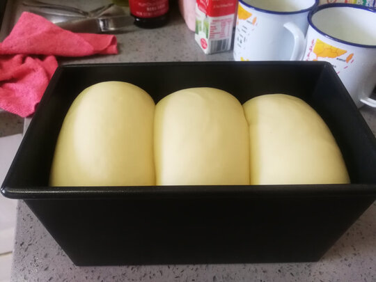 厨师机|【热搜头条】讲一讲柏翠和面机PE4900GR怎么样？用后告诉大家真相