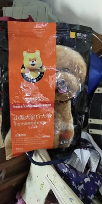 狗粮