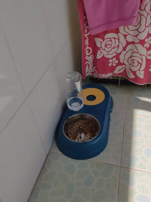 宠物饮水机