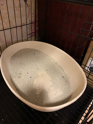猫砂盆