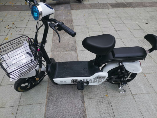 我们来看看《鹿邦电动车旗舰店》店铺所说的这款《鹿邦新国标锂电池