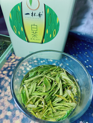 安吉白茶