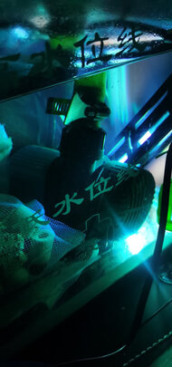 鱼缸潜水泵