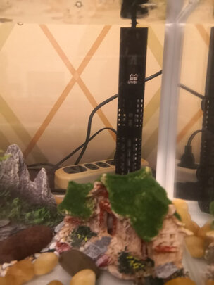 鱼缸加热棒