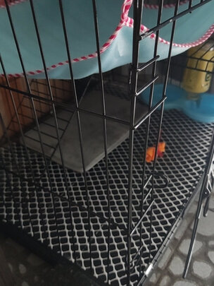 猫笼