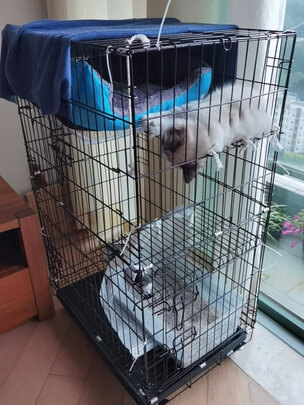  猫笼