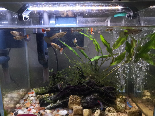 鱼缸氧气泵