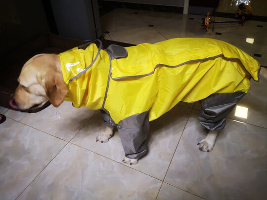 狗狗雨衣