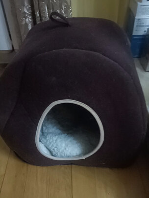 狗窝