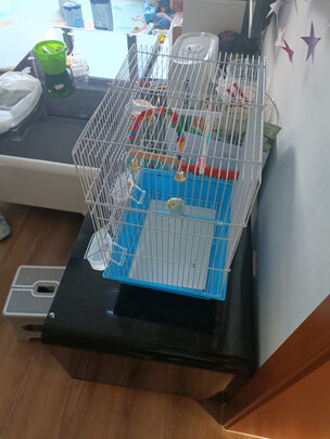 鸟笼