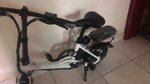 fiido飞道折叠电动车自行车成人代驾电车助力锂电池迷你轻便小型新