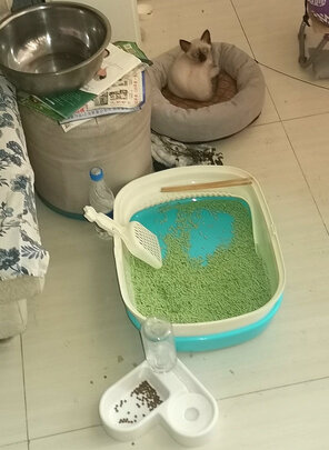 猫砂盆