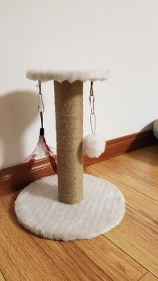 猫窝