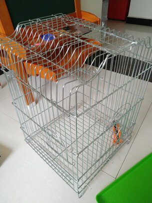 鸟笼