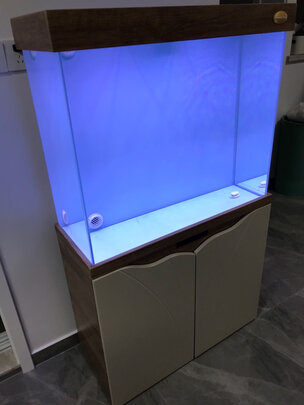 arowanahome鱼缸怎么样?讲一讲体验真相感受?
