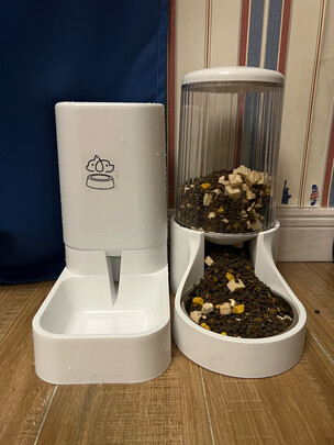 宠物自动喂食器