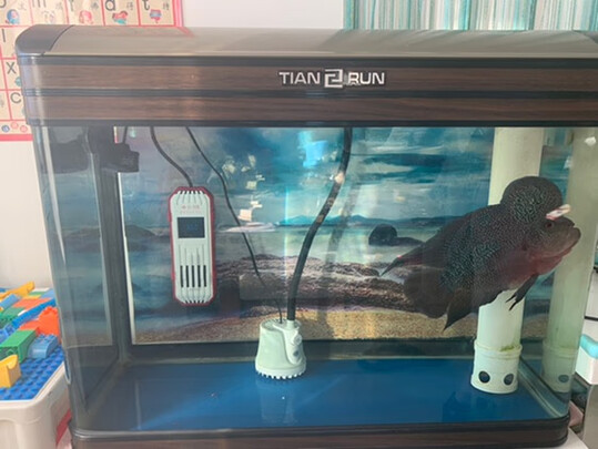 鱼缸水草灯