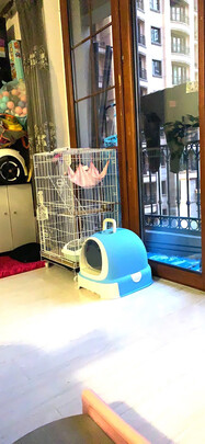  猫笼