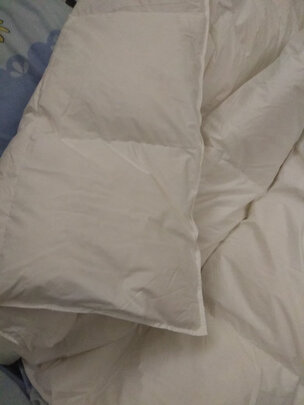 网易严选95%白鹅绒静音抗菌羽绒冬被评判质量差有依据吗？