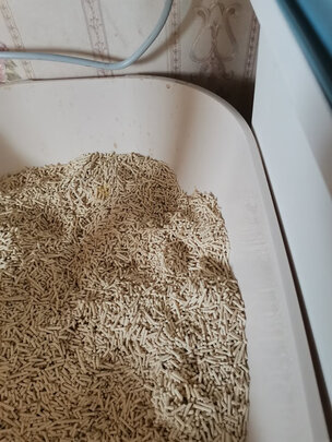 豆腐猫砂