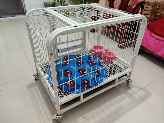  狗笼