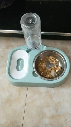 猫碗狗碗