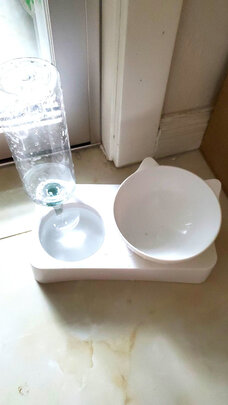 宠物饮水机