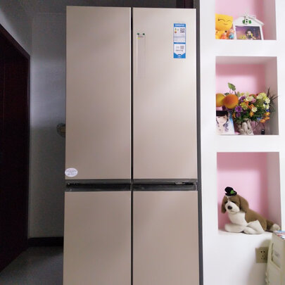 冰箱|用户揭秘海尔BCD-403WDPT好吗,入手解密评测真相