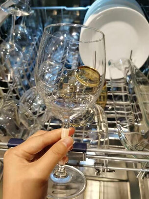 daogrsX6s洗碗机|知乎评测：意大利daogrs X6s洗碗机真实使用感受？不看这都被忽悠了