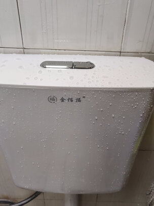 水箱蹲便器