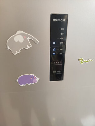 冰箱|海信BCD-239WYK1DPS好吗？图文评测曝光