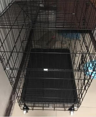  猫笼