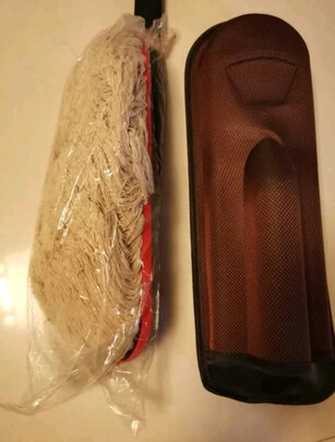 车用掸子