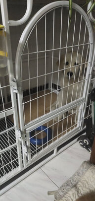  狗笼