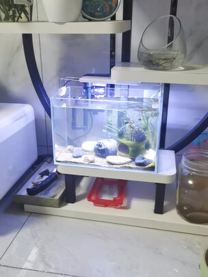 鱼缸过滤器