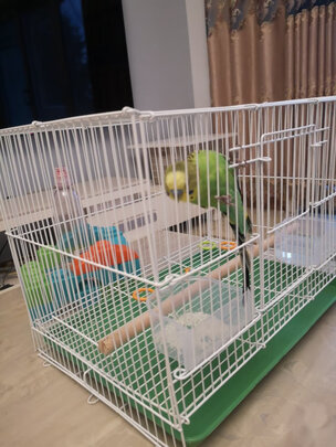 鸟笼