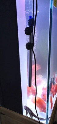 鱼缸加热棒