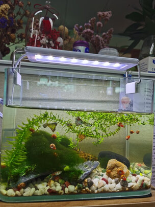 鱼缸灯led灯
