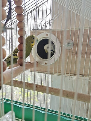 鸟笼