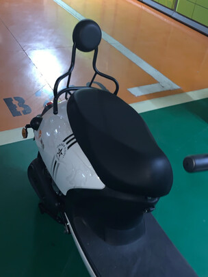 感受了解一下台铃豹子和凯拉区别大不大？千万要看下，优缺点曝光