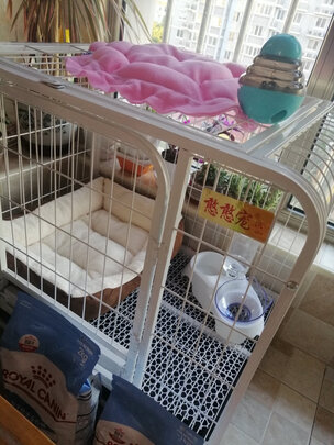 猫窝