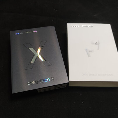 求助揭秘OPPO Enco X耳机怎么样?一个月后质量真相