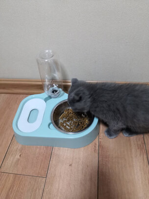 猫粮