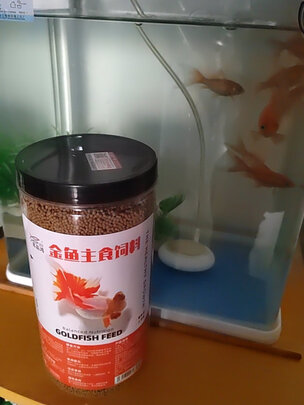 鱼粮